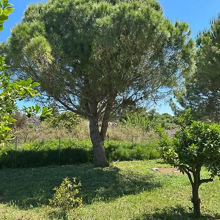 Tiny Comfort House Apartament Kastro-Kyllini