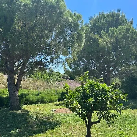 Tiny Comfort House Lejlighed Kastro-Kyllini