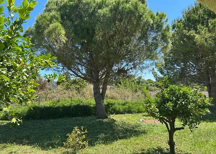 Tiny Comfort House Appartement Kastro-Kyllini