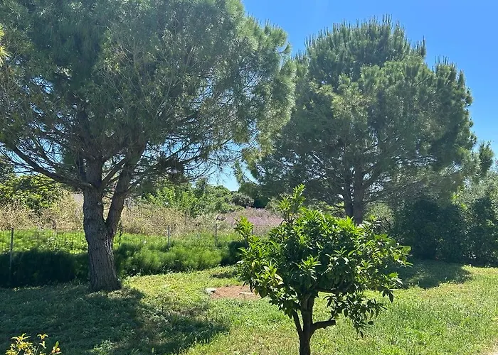 Tiny Comfort House Appartement Kastro-Kyllini